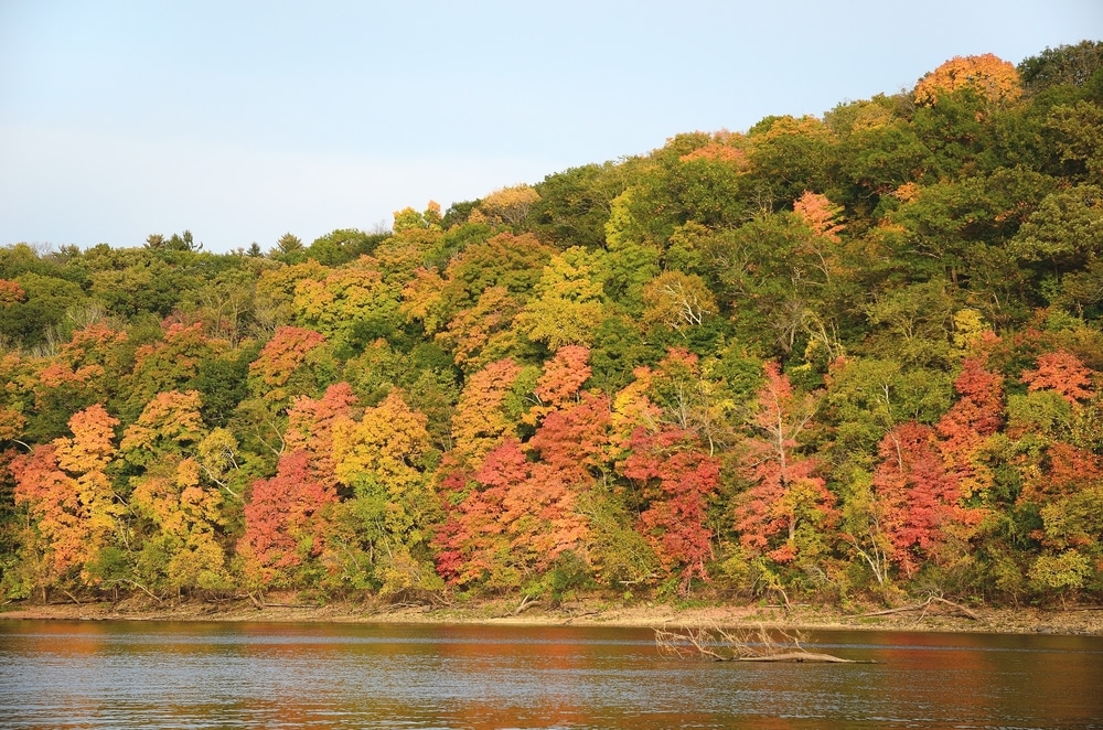 Minnesota fall colors 